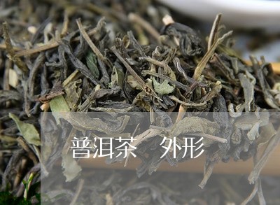 普洱茶 外形/2023042899363